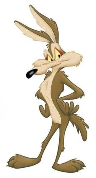 Road Runner & Coyote (5).jpg