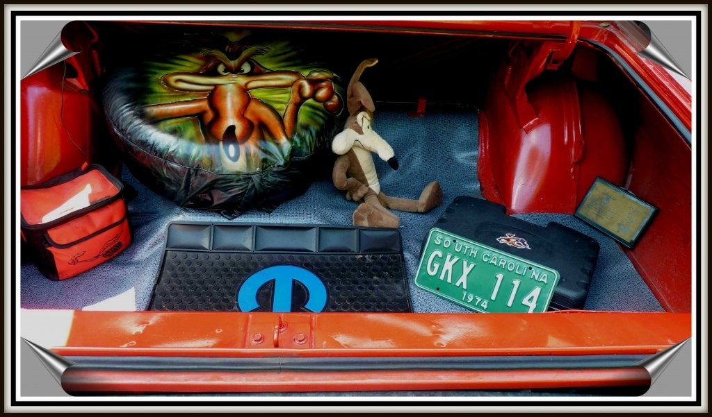Roadrunner-0011.JPG