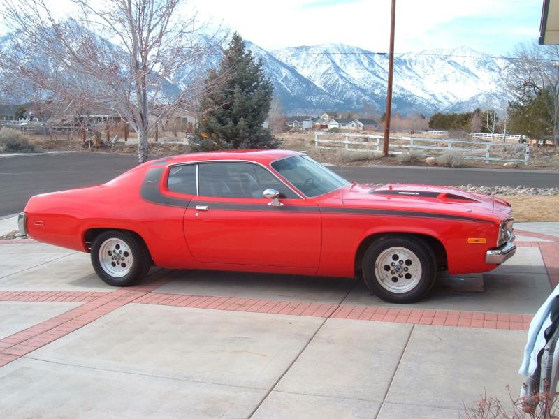 roadrunner 1.jpg