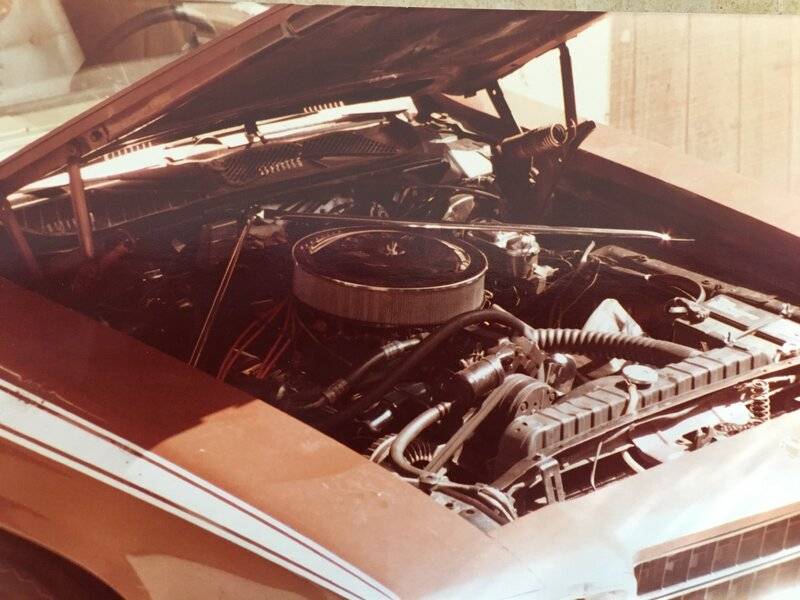 Roadrunner 1979 H.JPG