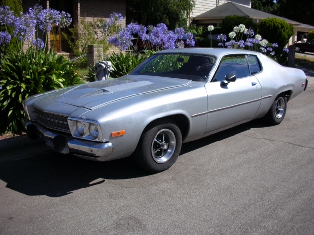 Roadrunner Back.jpeg