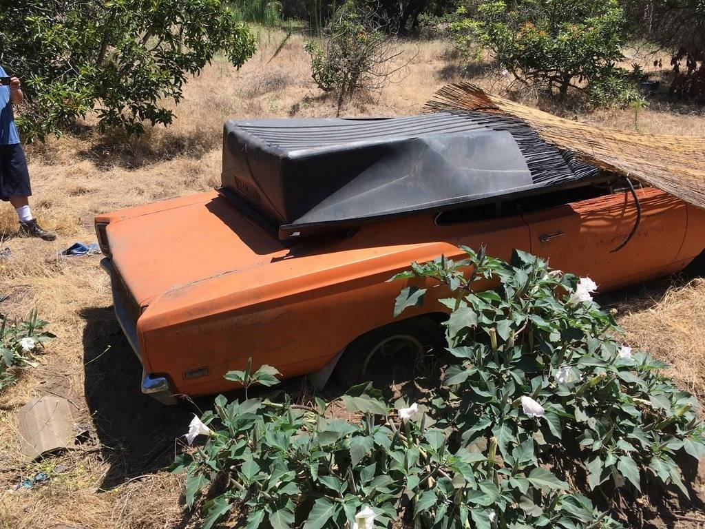 Roadrunner Day 1.JPG