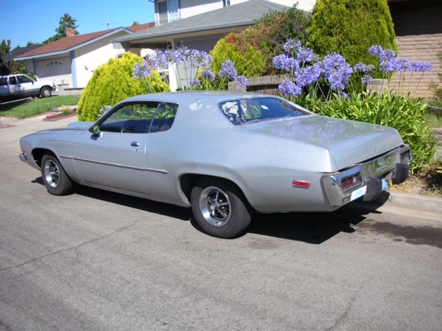 Roadrunner Front.jpeg