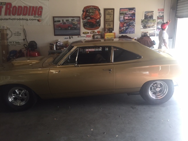 roadrunner1.jpg