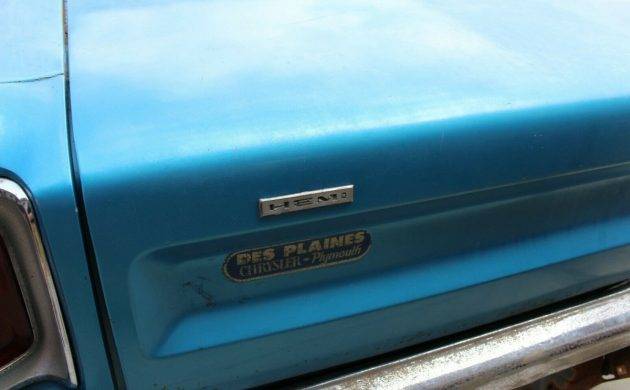 roadrunner3-630x390.jpg