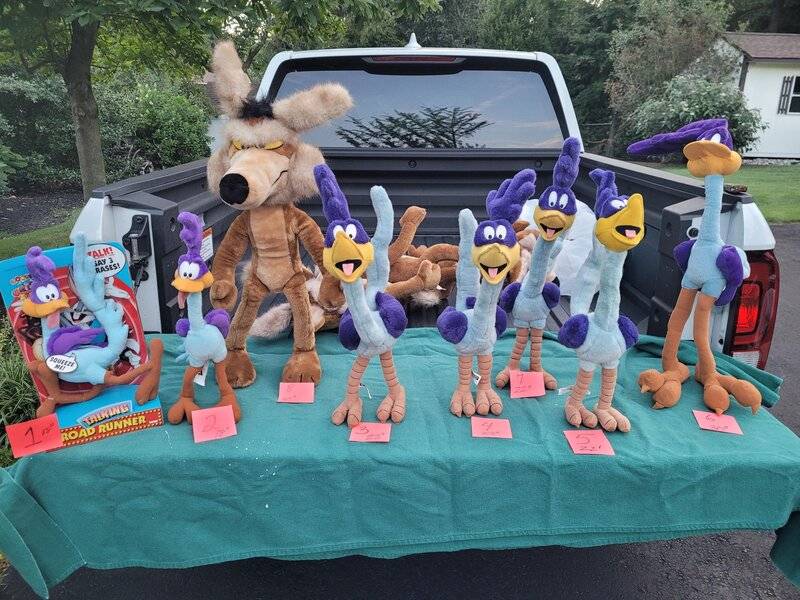 wile e coyote and roadrunner toys