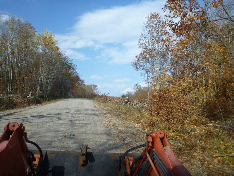runwayapproachclearingaugsept2020 193.JPG