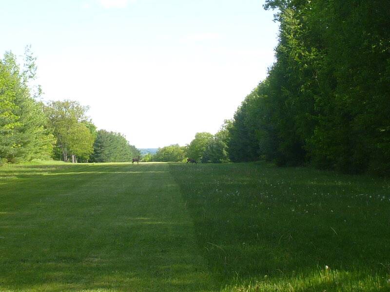 runwaycutmay312020 009.JPG