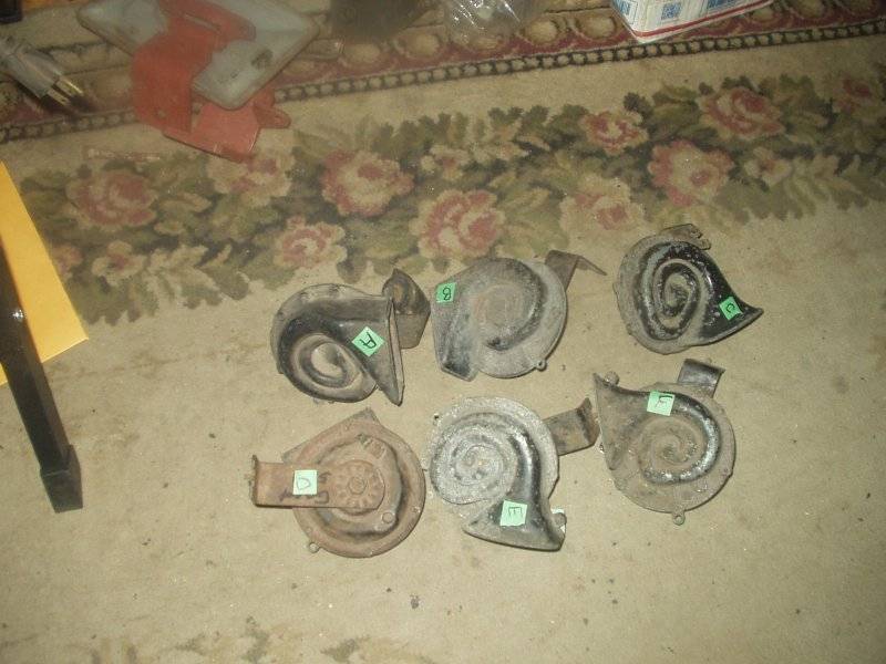 S-1-24 June Horns 2.JPG