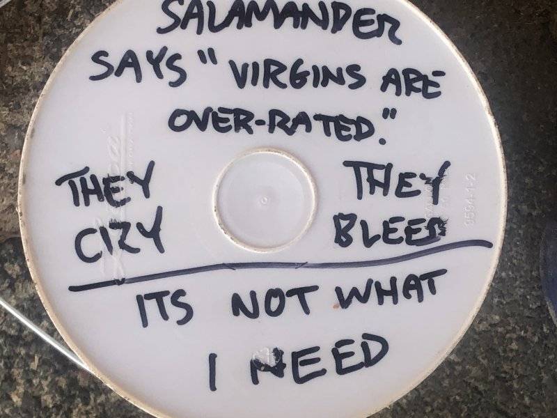 Salamander 10.JPG