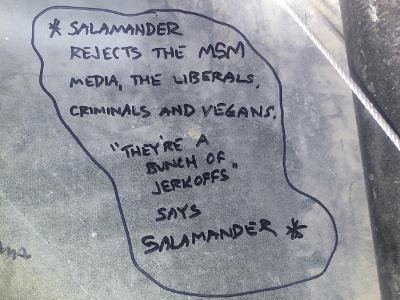 Salamander 12.jpg