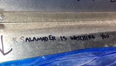 Salamander 2.jpg