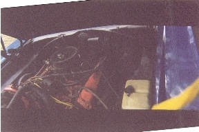 sbee1.jpg