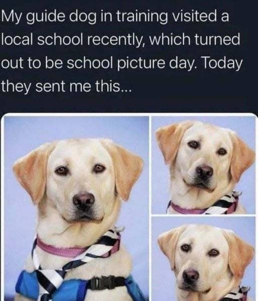 schoolpictureday.jpg