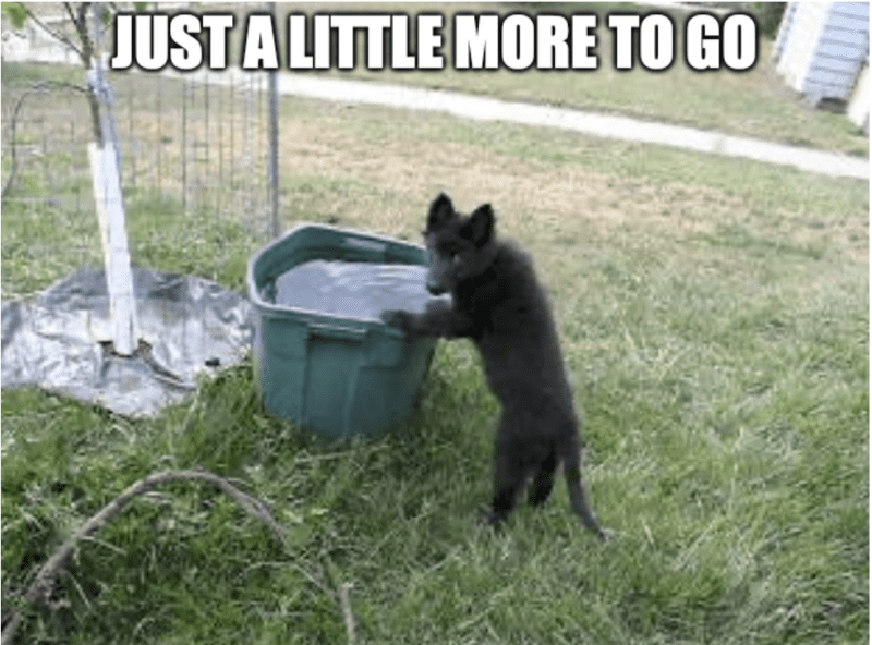 Screenshot 2025-10-30 at 9.23.14 AM.png