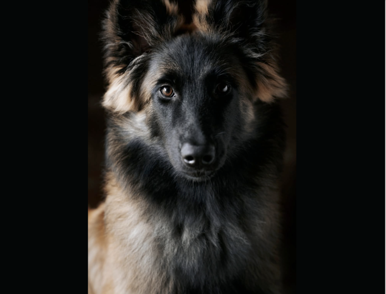 Screenshot 2025-11-03 at 10.26.50 PM.png