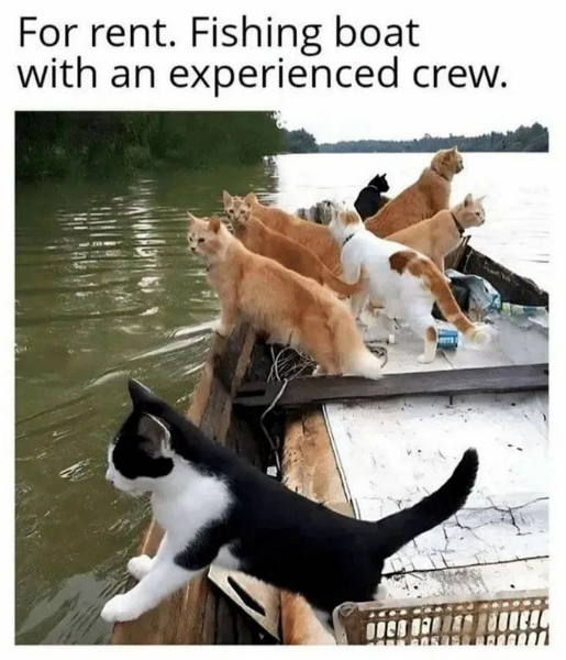 Screenshot 2026-02-22 at 10-07-33 Crack Open Some Cold Memes – According To Hoyt.png