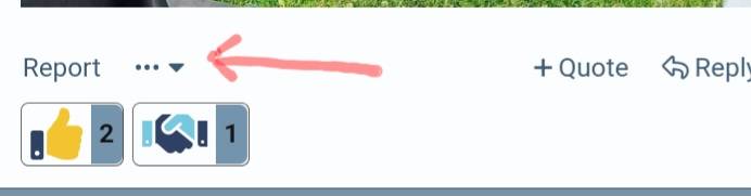 Screenshot_20230217_194351_Chrome.jpg