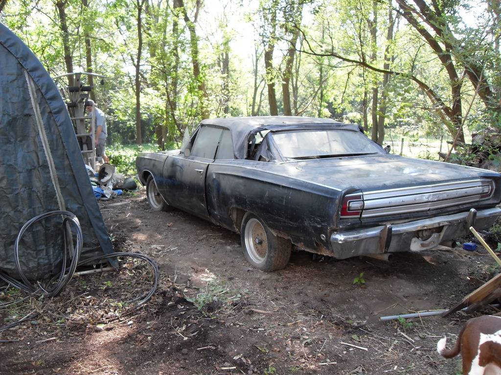SDC10350.jpg