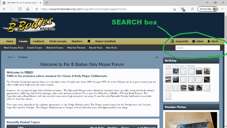 search box.png