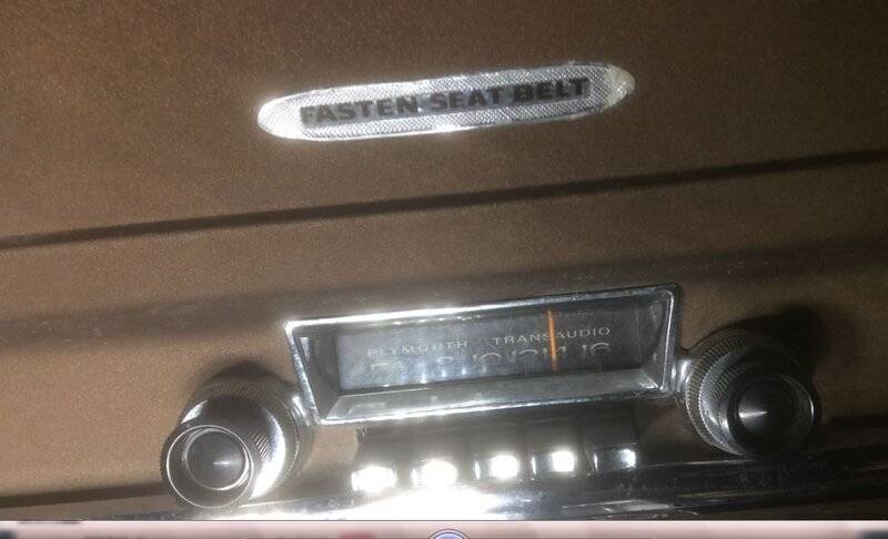 seat beltf.JPG