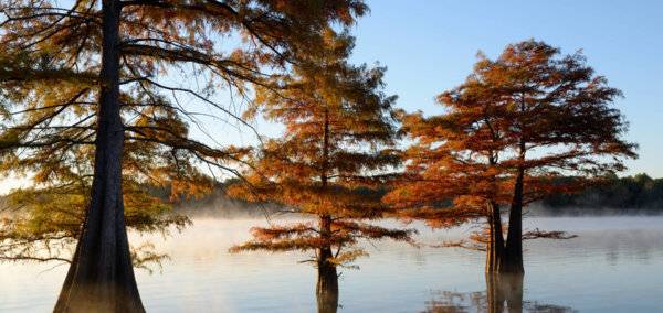 sequoyahfallsusanddragooslideshow.jpg