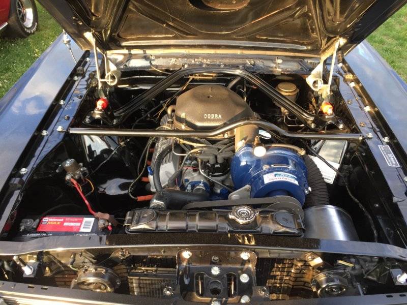 shelby H motor.jpg