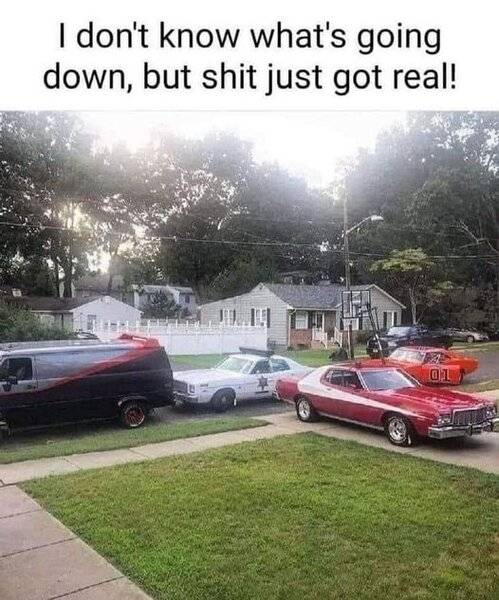 shitgotreal.jpg