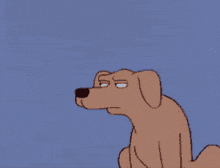 side-eye-shady.gif