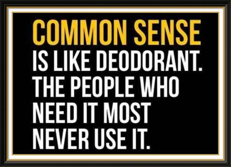 Sign #8 common sense & deoderant.jpg