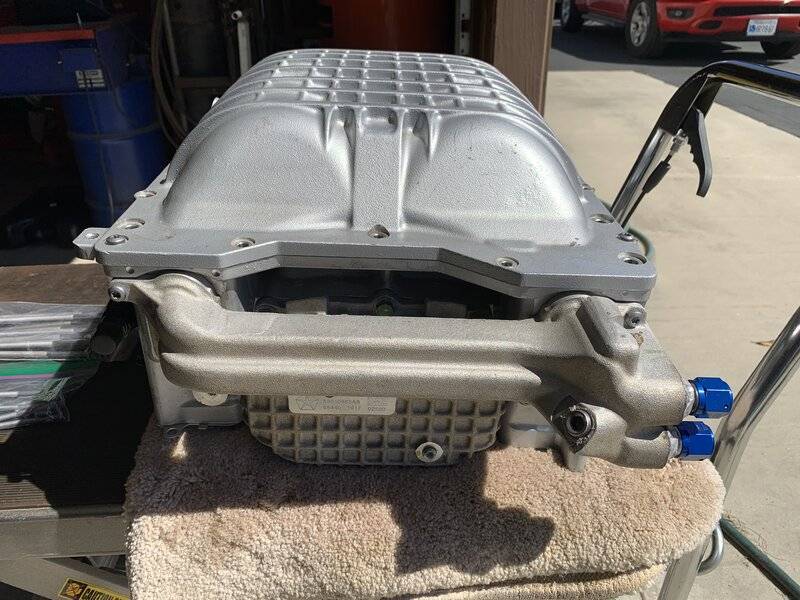 SilHemi7_041824.jpg