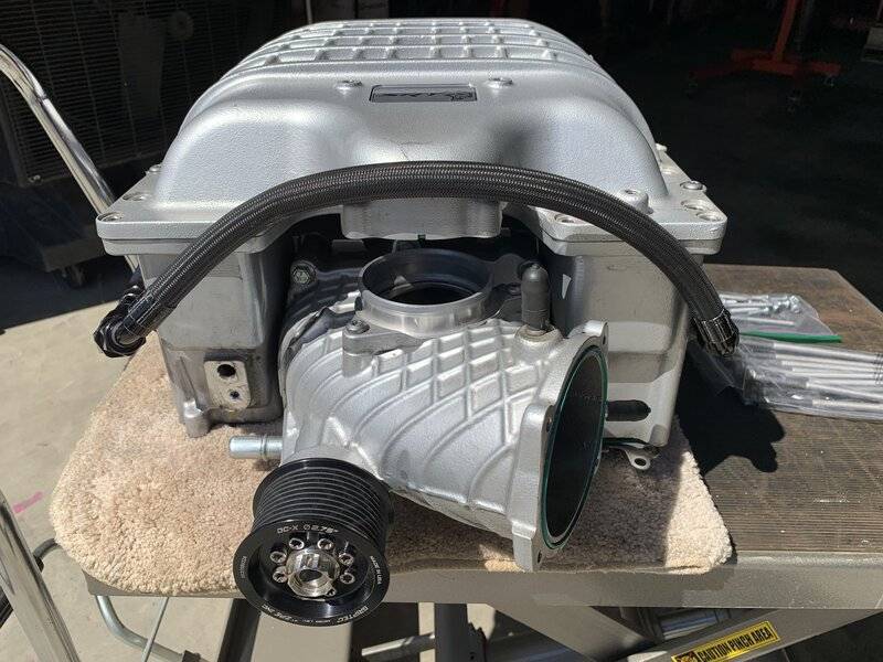 SilHemi8_041824.jpg