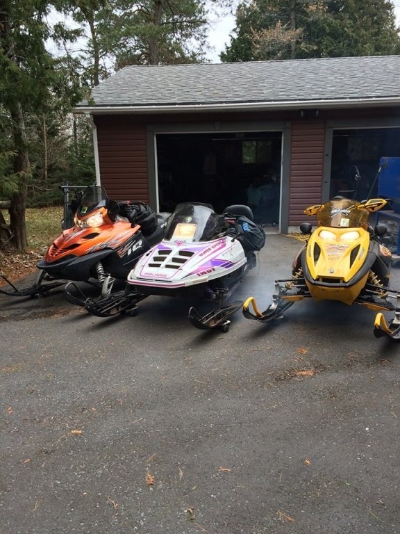 sleds.jpg