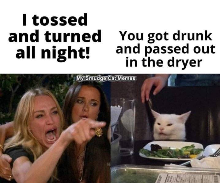 Sleeping in Dryer.jpg
