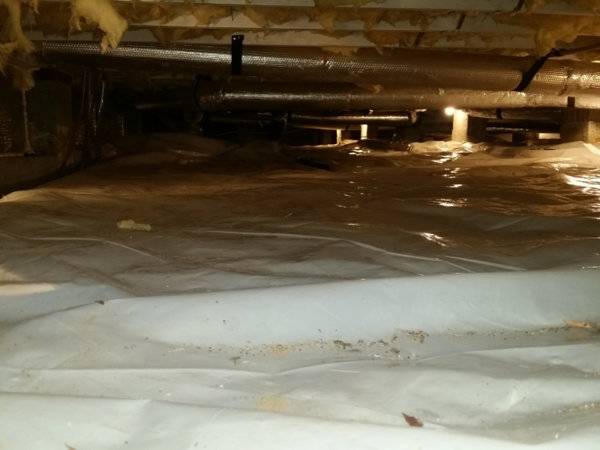 sm_crawlspace03-jpg.jpg