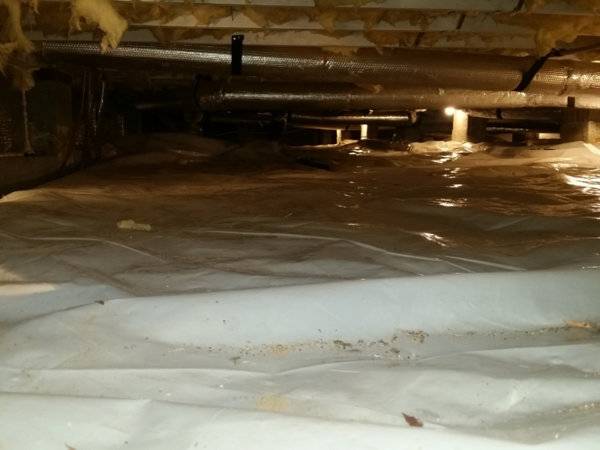 sm_crawlspace03.jpg