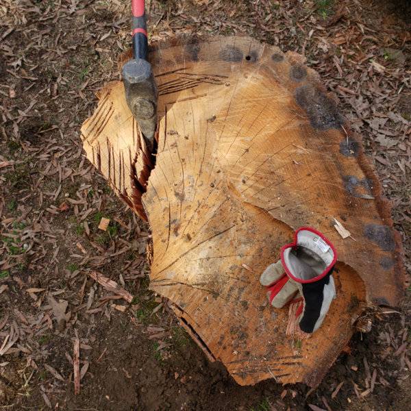sm_firewoodstorage38.jpg