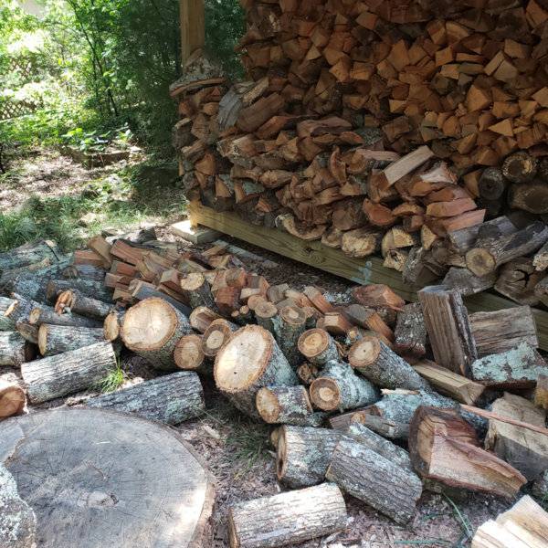 sm_woodfall-1.jpg