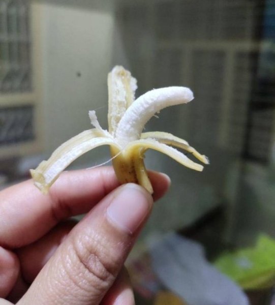 smallBanana.jpg