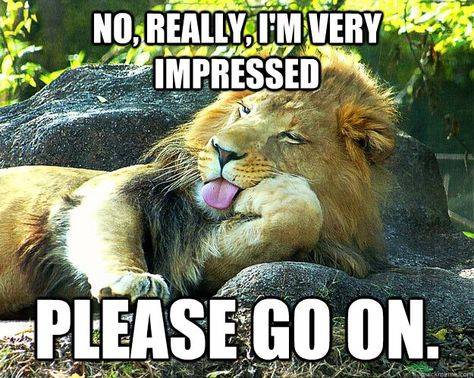 Smiley A bored Lion - No go on I'm so impressed.jpg
