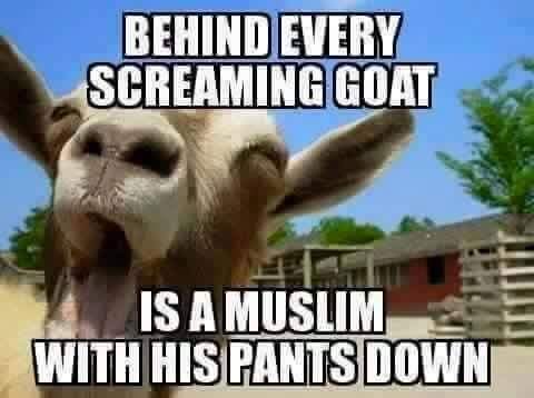 Smiley - Behind every screaming Goat is a Muslim with his pants down.jpg