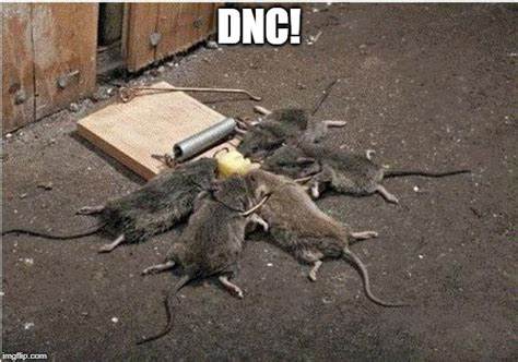 Smiley Dead Mouse - DNC !!!.jpg