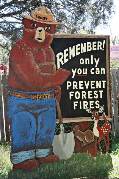 Smiley smokey the bear.jpg