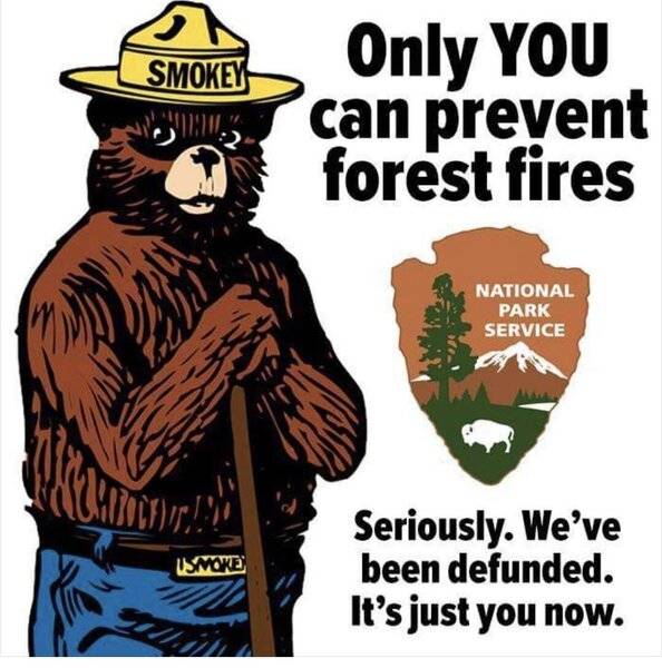 Smiley smokey the bear only you - now it's only you we've been defunded.jpeg