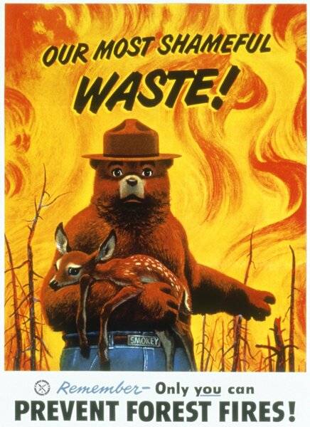 Smiley smokey the bear waste.jpg