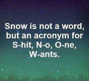 Smiley SNOW acronym for Shit No One Wants.jpg