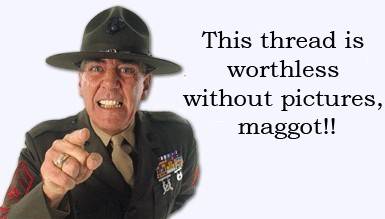 Smiley This Thread Is Wortless without pictures maggot -Gunny-.jpg