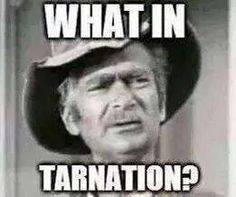 Smiley What in tarnantion -Jed Clampit-.jpg
