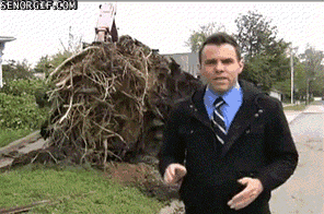 Smooth 1.gif