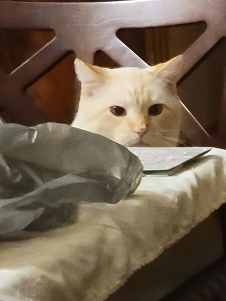 smudge4.jpg